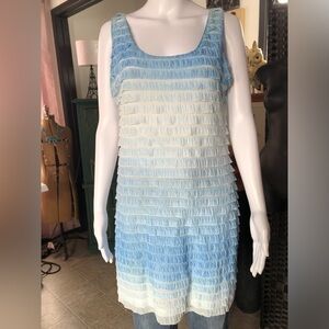 Women’s Bianca Nygard Petite Sleeveless Dress/Tunic
Size 10P